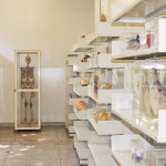 Museu de Anatomia