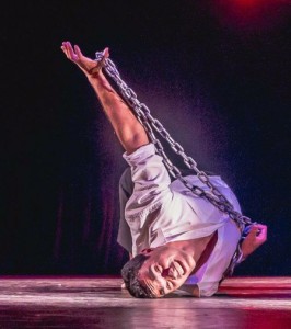 11295823_799356990172527_6892697236922384119_n (1)