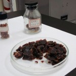 Imagem com um recipiente contendo casca da castanha de caju.