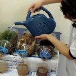 Imagem de um estudante regando plantas.