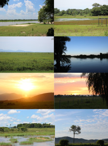 fig-1-faces-pantanal