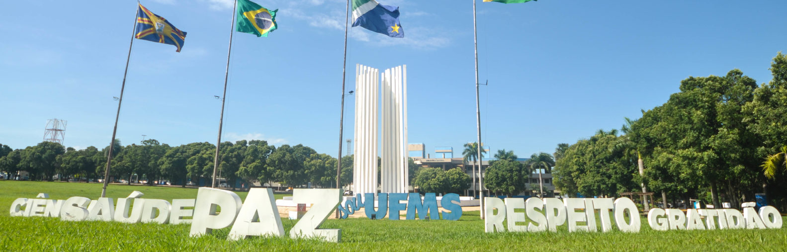 Sem texto alternativo