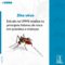 Pesquisa sobre Zika vírus avalia fatores de risco em gestantes e crianças