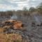 Caixa corta-fogo deve contribuir para o controle dos incêndios florestais no Pantanal
