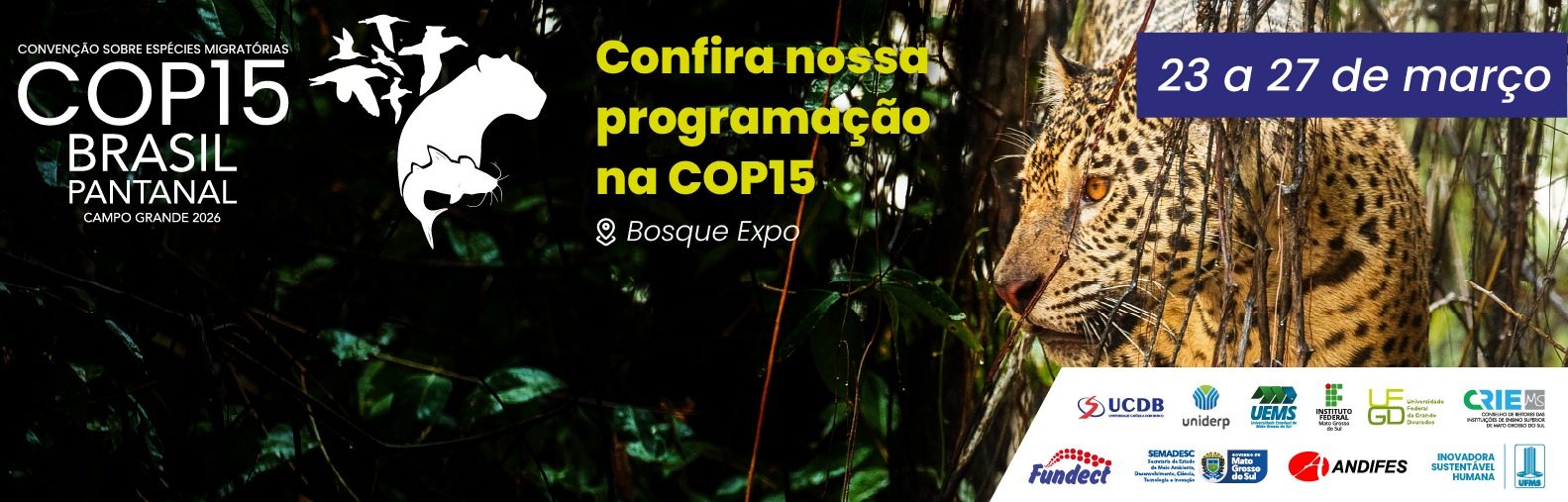 Sem texto alternativo