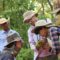 Guia para coleta de sementes e restauração da vegetação em comunidade quilombola
